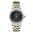 Reloj Sinn 456 TW70 GG 456.040 - 456.040-1.jpg - mier