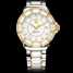 TAG Heuer Formula 1 Steel,Gold Plated, Ceramic and diamonds WAH1221.BB0865 腕表 - wah1221.bb0865-1.jpg - mier