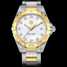 Montre TAG Heuer Aquaracer 300M Steel & Yellow Gold plated WAY1451.BD0922 - way1451.bd0922-1.jpg - mier
