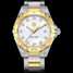 นาฬิกา TAG Heuer Aquaracer 300M Steel & Yellow Gold plated WAY1451.BD0922 - way1451.bd0922-1.jpg - mier