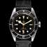 Tudor Heritage Black Bay 79230N Leather 腕時計 - 79230n-leather-1.jpg - mier