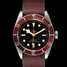 Reloj Tudor Heritage Black Bay 79230R Fabric Red - 79230r-fabric-red-1.jpg - mier