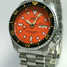 Montre Seiko Diver SKX 011J-P - skx-011j-p-1.jpg - theshadow