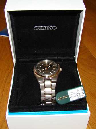 Seiko Kinetic SKA214 Watch - ska214-1.jpg - thibaud